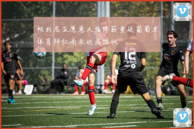 帕利尼亚愿意大幅降薪重返葡萄牙体育拜仁尚未达成协议